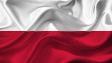 Polish flag.jpg