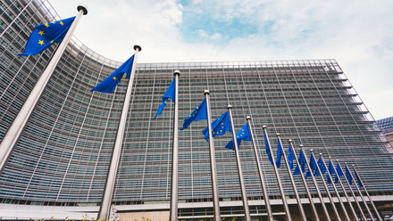Brussels European Flags.jpg