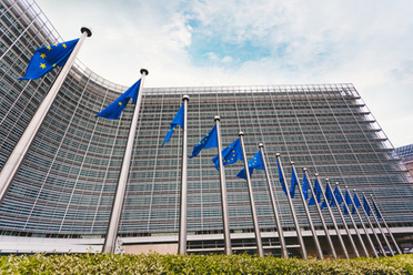 Brussels European Flags.jpg