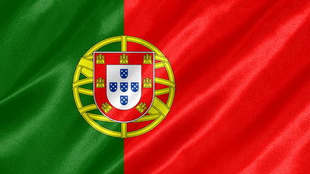 Portugese flag.jpg