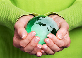 Environment WEB.jpg